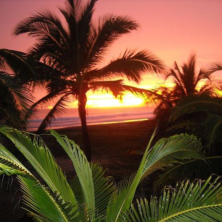 Bungalows Tree Tops - Adults Only Zihuatanejo Exterior foto