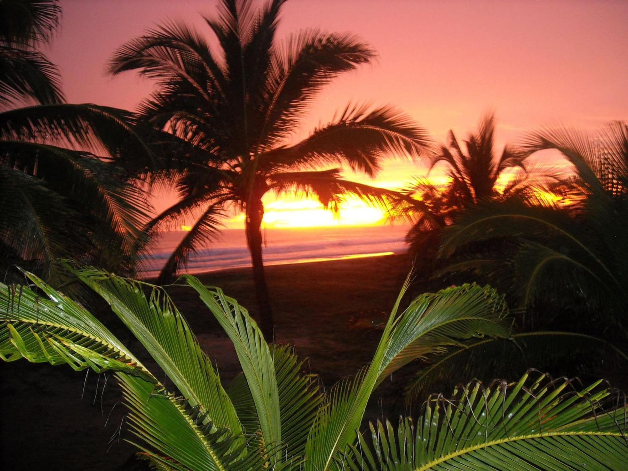 Bungalows Tree Tops - Adults Only Zihuatanejo Exterior foto